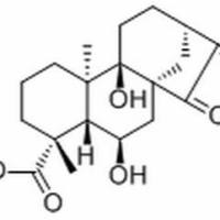 81264-00-8/等效-6,9-二羟基-15-氧代-16-贝壳杉烯-19-酸 ,分析标准品,HPLC≥98%