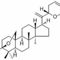 366450-46-6/	 半翅盐肤木内酯,分析标准品,HPLC≥98%