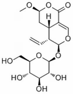 118627-52-4/ 表断马钱子甙半缩醛内酯 ,分析标