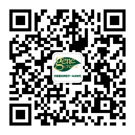 2020年完整版SCI影响因子官方数据EXCEL免费下载