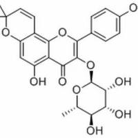 143601-07-4/	 3-[(6-脱氧-alpha-L-甘露糖基)氧基]-5-羟基-2-(4-)-8,8-二甲基-4H,8H-苯并[1,2-b:3,4-b']二吡喃-4-酮 [143601-07-4],分析标准品,HPLC≥98%