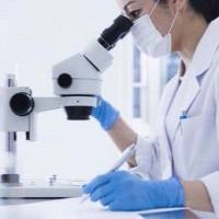 【热门推荐】医学实验外包
