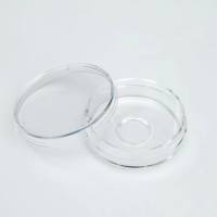 Thermo Scientific™ Nunc™ 玻底培养皿