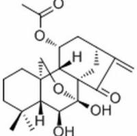 77949-42-9/长管贝壳杉素 E ,分析标准品,HPLC≥98%
