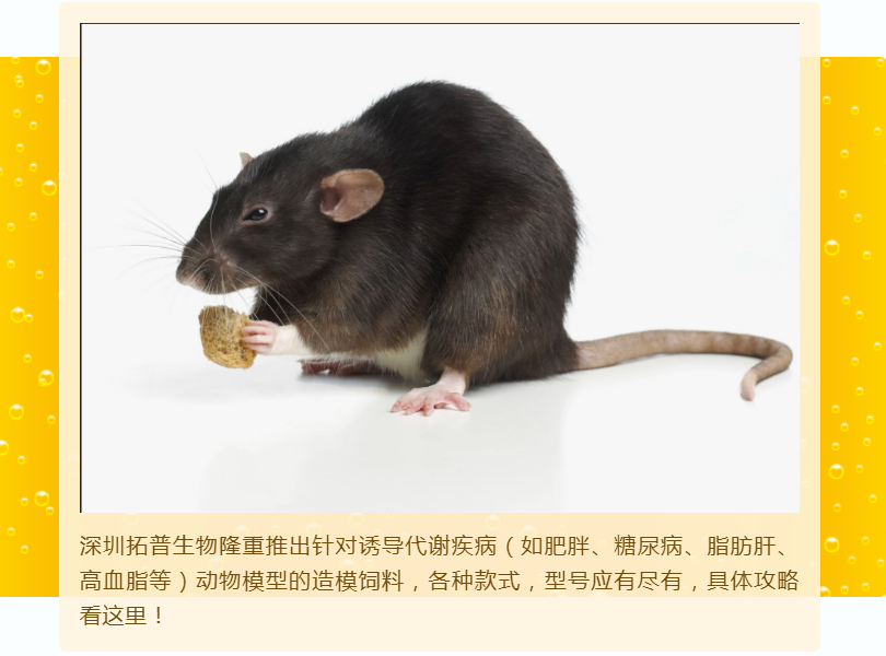 饮食诱导疾病动物模型，造模饲料你选对了吗？