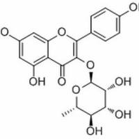 482-39-3/ 阿福豆苷,分析标准品,HPLC≥98%