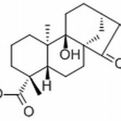 77658-45-8/	 等效-9-羟基-15-氧代-19-异贝壳杉烷酸 ,分析标准品,HPLC≥98%