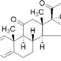 53-03-2/	 泼尼松 ,分析标准品,HPLC≥98%