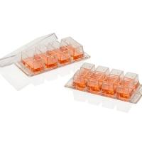 Thermo Scientific™ Thermo Scientific™ Nunc™ Lab-Tek™ 腔室盖玻片