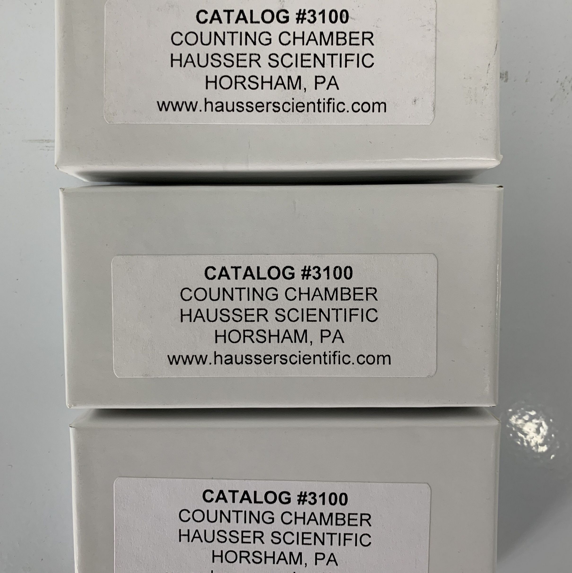 Hausser Scientific3100血球计数板