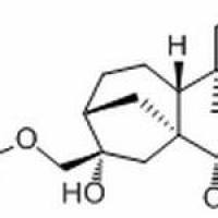 1169805-98-4/	 黄花香茶菜甲素 ,分析标准品,HPLC≥97%