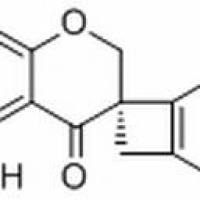52706-07-7/	 绵枣儿素.分析标准品,HPLC≥98%