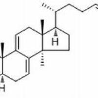 104700-96-1/ 灵芝醇B ,分析标准品,HPLC≥98%