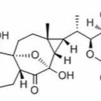 1033288-92-4/	 前五味子素 B,	分析标准品,HPLC≥98%