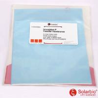 PVDF膜（0.45um）13.25*15cm