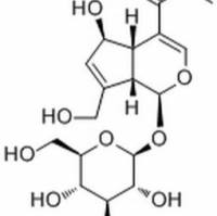 465-13-4.夹竹桃它罗苷.分析标准品,HPLC≥98%