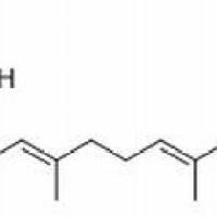 80557-12-6/	 灰叶酸.分析标准品,HPLC≥98%