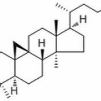 4657-58-3/环木菠萝烷醇,分析标准品,HPLC≥98%