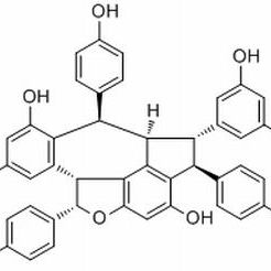 4339-72-4/	 齐墩果酸3-乙酸酯,	分析标准品,HPLC≥98%