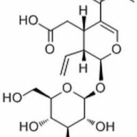 58822-47-2.幼枝含断氧化马钱子甙,分析标准品,HPLC≥98%