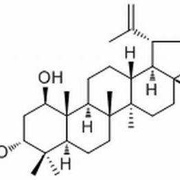 23963-54-4/ 算盘子酮醇.分析标准品,HPLC≥98%