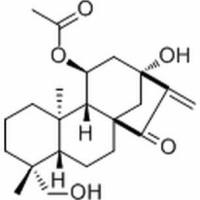 125164-55-8.	 叶含乙酰瘿花香茶菜素 A,	分析标准品,HPLC≥98%