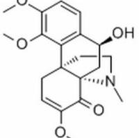 6858-85-1/ 原间千金藤碱 ,分析标准品,HPLC≥98%