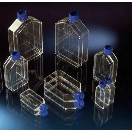Thermo Scientific™ Nunc™ 带过滤瓶盖的细胞培养瓶