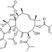 210108-88-6/2,5,9,14-四乙酰氧基-3-苯甲酰基氧基-8,15-二羟基 /	分析标准品,HPLC≥95%