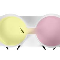 鱼穿梭箱  loligo