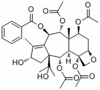 产品细节图片1