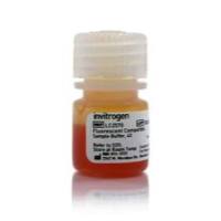 Invitrogen荧光上样缓冲液 (4X, 非还原)