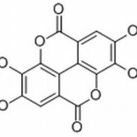 1617-49-8. 2,3,8-三邻甲基鞣花酸 , 分析标准品,HPLC≥98%