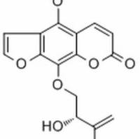 35214-82-5/新比克白芷内酯 分析标准品,HPLC≥98%
