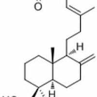 52992-82-2/	 乙酰基异柏烯酸,分析标准品,HPLC≥98%