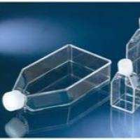 Thermo Scientific™ Nunc™ 未处理培养瓶