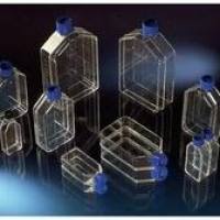 Thermo Scientific™ Nunc™ 带实心盖经细胞培养处理的培养瓶