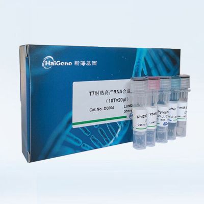T7 耐热高产RNA 合成试剂盒