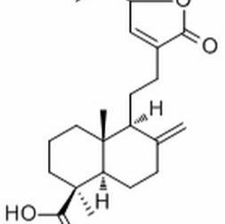 769928-72-5.15-甲氧基松柏酸 ,分析标准品,HPLC≥98%