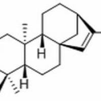 115028-67-6/ 土槿甲酸 D/分析标准品,HPLC≥98%