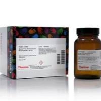 Blocker™ FL荧光封闭缓冲液(10X)