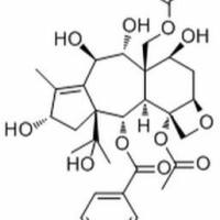 220935-39-7.	 13-邻去乙酰基红豆杉醇 Z ,	分析标准品,HPLC≥98%