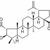 119533-63-0/乙酸茶酸酯 .分析标准品,HPLC≥98%