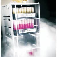 Thermo Scientific™ Nunc™ Cryobank 未编码冻存管系统 374083