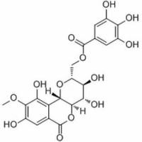 82958-44-9.	 11-O-没食子酰岩白菜素 .分析标准品,HPLC≥98%