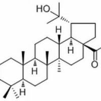 93372-87-3. 20-Hydroxy-3-oxolupan-28-oic acid ,分析标准品,HPLC≥98%