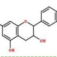 儿茶素154-23-4厂家