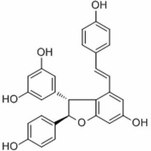 62218-08-0/ ε-Viniferin,分析标准品,HPLC≥95%