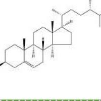 菜油甾醇474-62-4价格