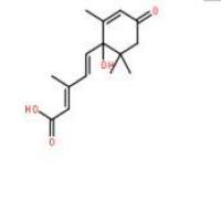 脱落酸14375-45-2厂家